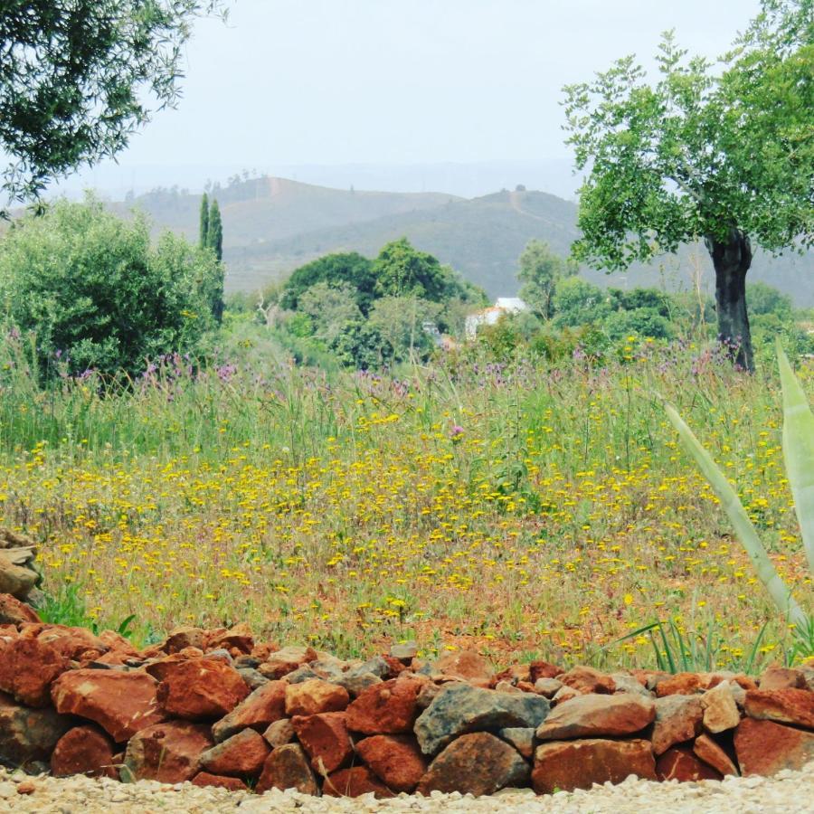 Quinta Das Piteiras-Turismo Rural Silves Ngoại thất bức ảnh